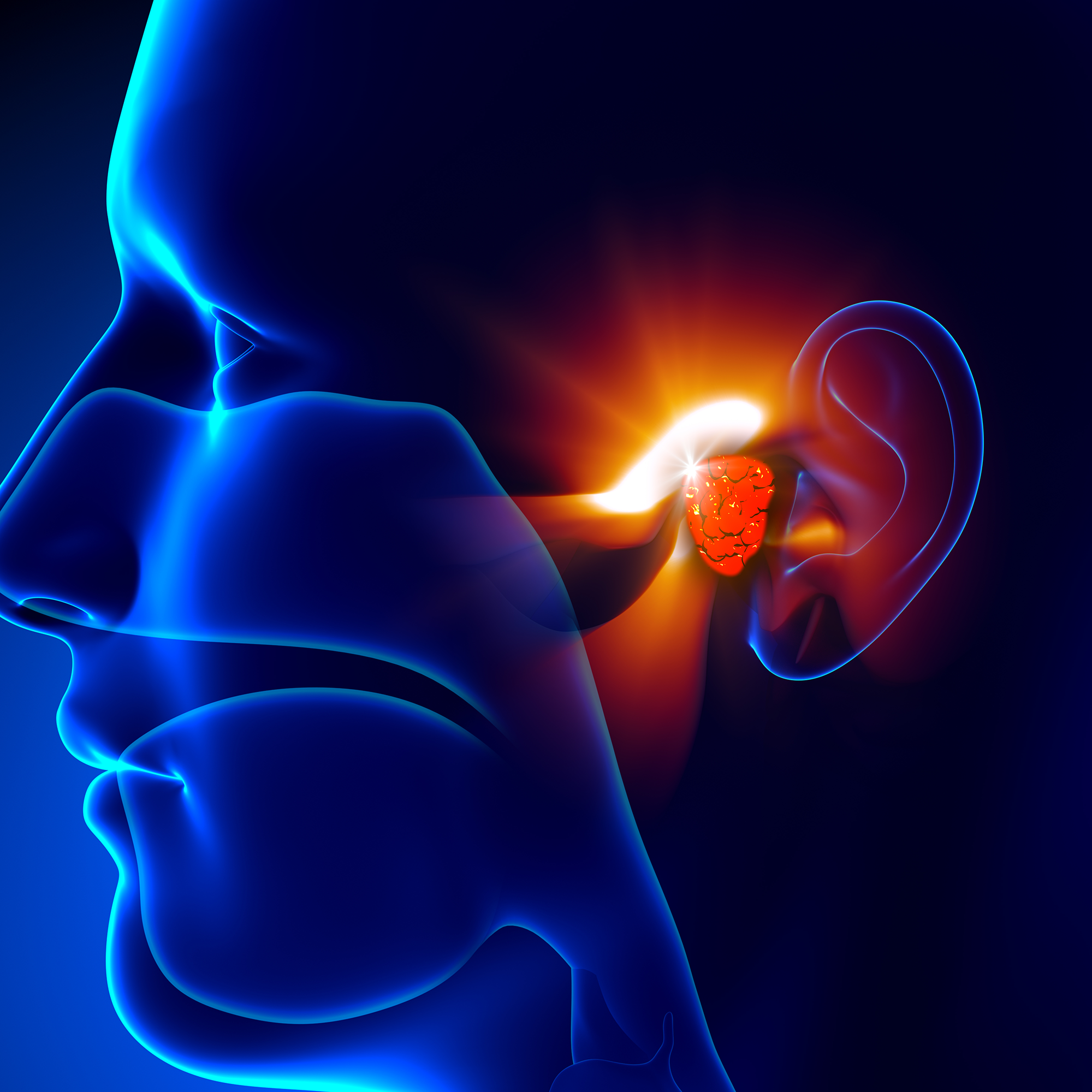 New Insight Into Sound Amplification Processes In Inner Ear