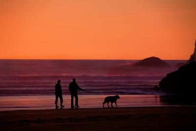 Grandparents walking on beach 